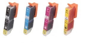 Epson 24XL – T2431crna/T2432plava/T2433žuta/T2434crvena set 4 tinte
