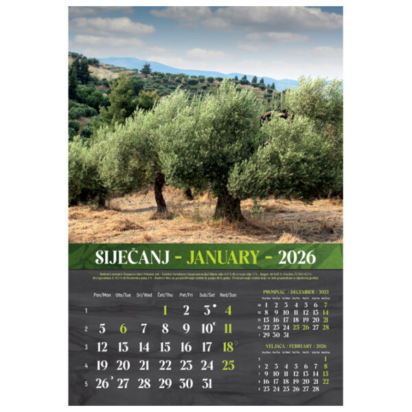 Kalendar Masline 2026 13 listova spirala - Slika 13