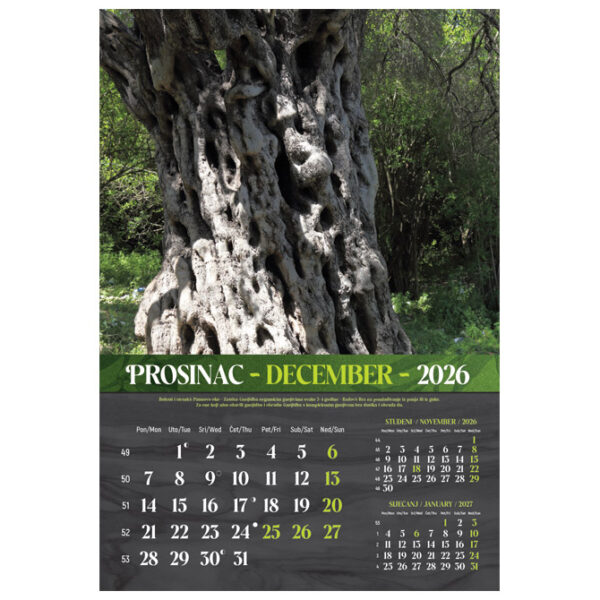 Kalendar Masline 2026 13 listova spirala - Slika 2