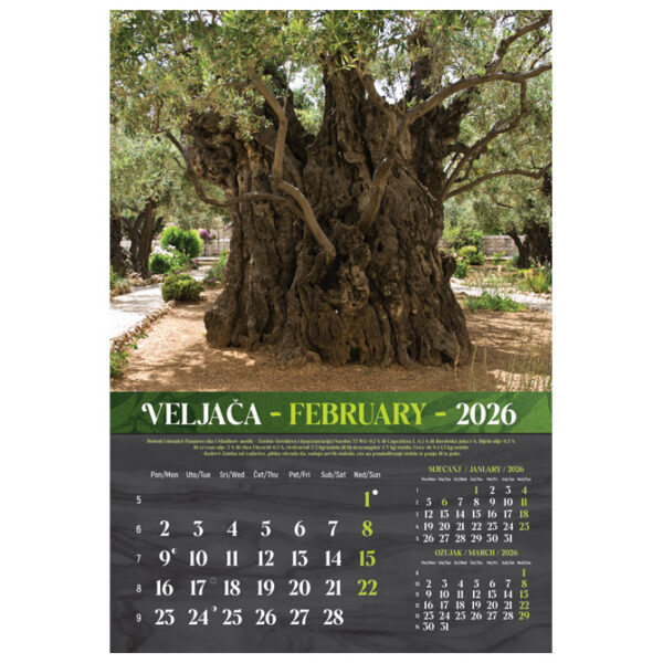 Kalendar Masline 2026 13 listova spirala - Slika 12