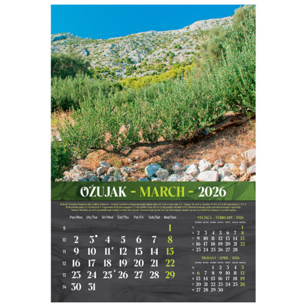Kalendar Masline 2026 13 listova spirala - Slika 11