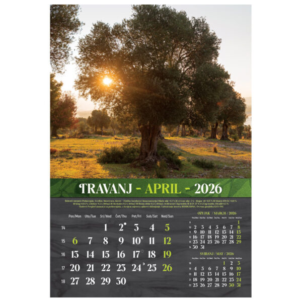 Kalendar Masline 2026 13 listova spirala - Slika 10
