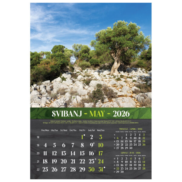 Kalendar Masline 2026 13 listova spirala - Slika 9