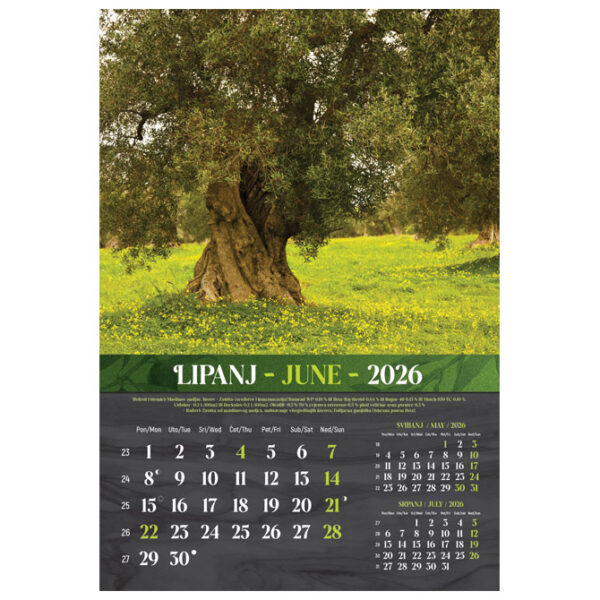 Kalendar Masline 2026 13 listova spirala - Slika 8