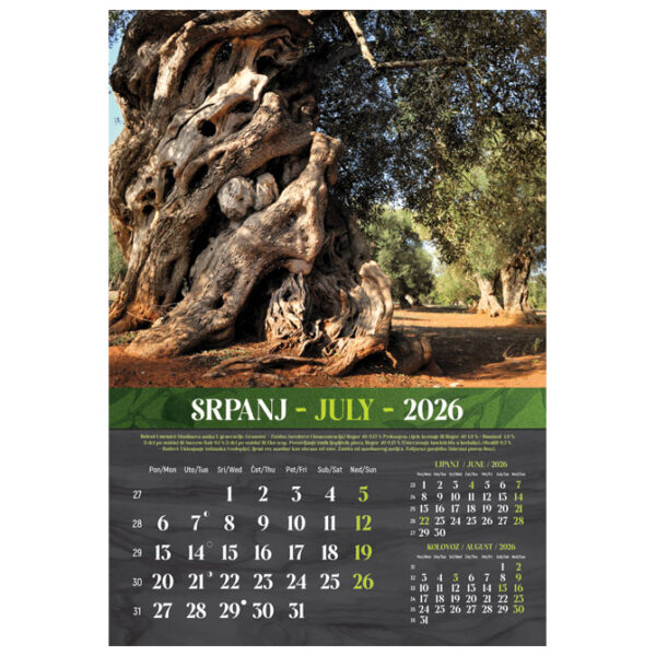 Kalendar Masline 2026 13 listova spirala - Slika 7