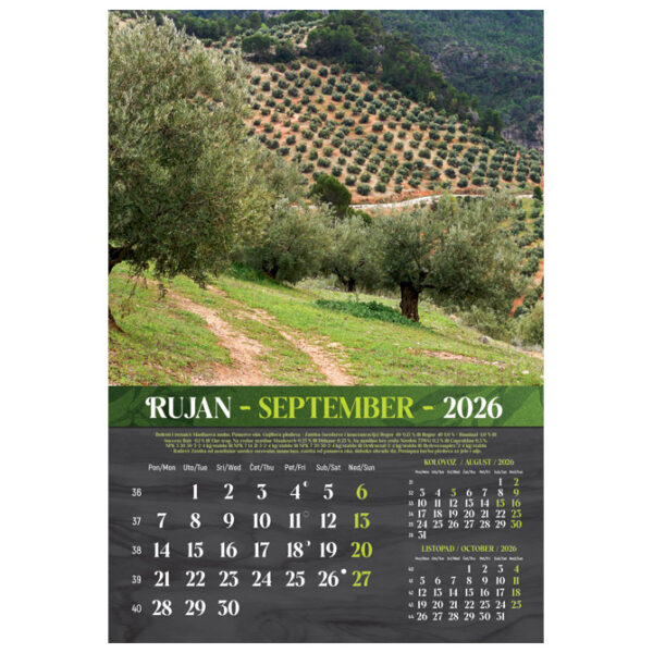 Kalendar Masline 2026 13 listova spirala - Slika 5