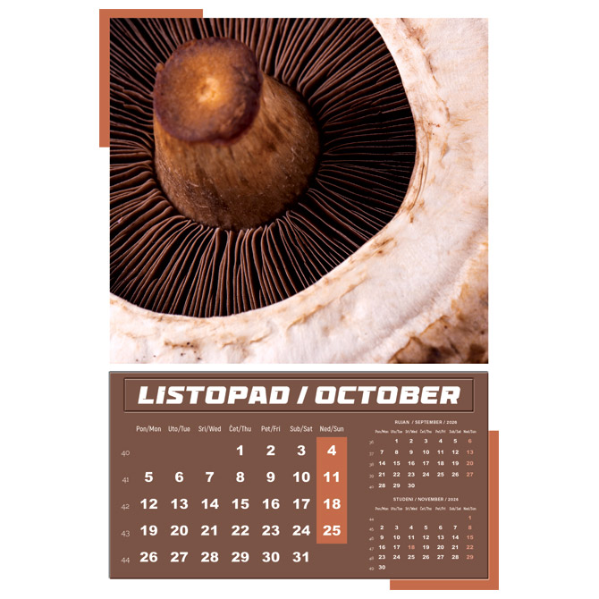 Kalendar Igre prirode 2026 13 listova spirala - Slika 4